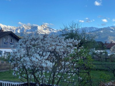 Holiday apartment Mountain view - Outdoor photo 7