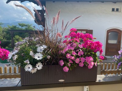 Holiday apartment Mountain view - Outdoor photo 8