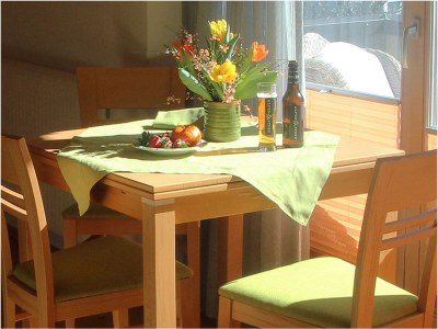 Holiday apartment Mountain view - Features photo 16