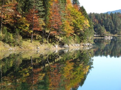 Holiday apartment Mountain view - Environment photo 28