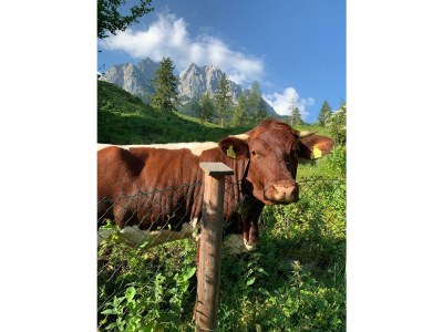 Holiday apartment Mountain view - Environment photo 36