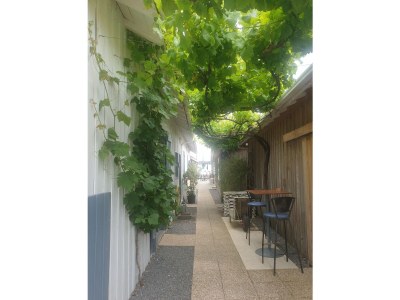 Holiday house Lacanau Ocean - Environment photo 35