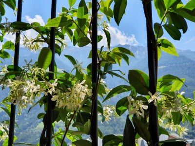 Holiday apartment Adler Naturns - Features photo 9