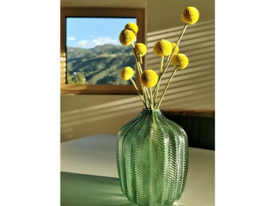 Holiday apartment Adler Naturns - Features photo 12