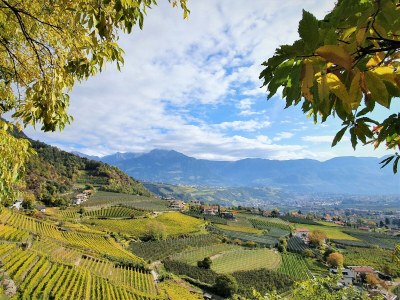 Holiday apartment Adler Naturns - Environment photo 21