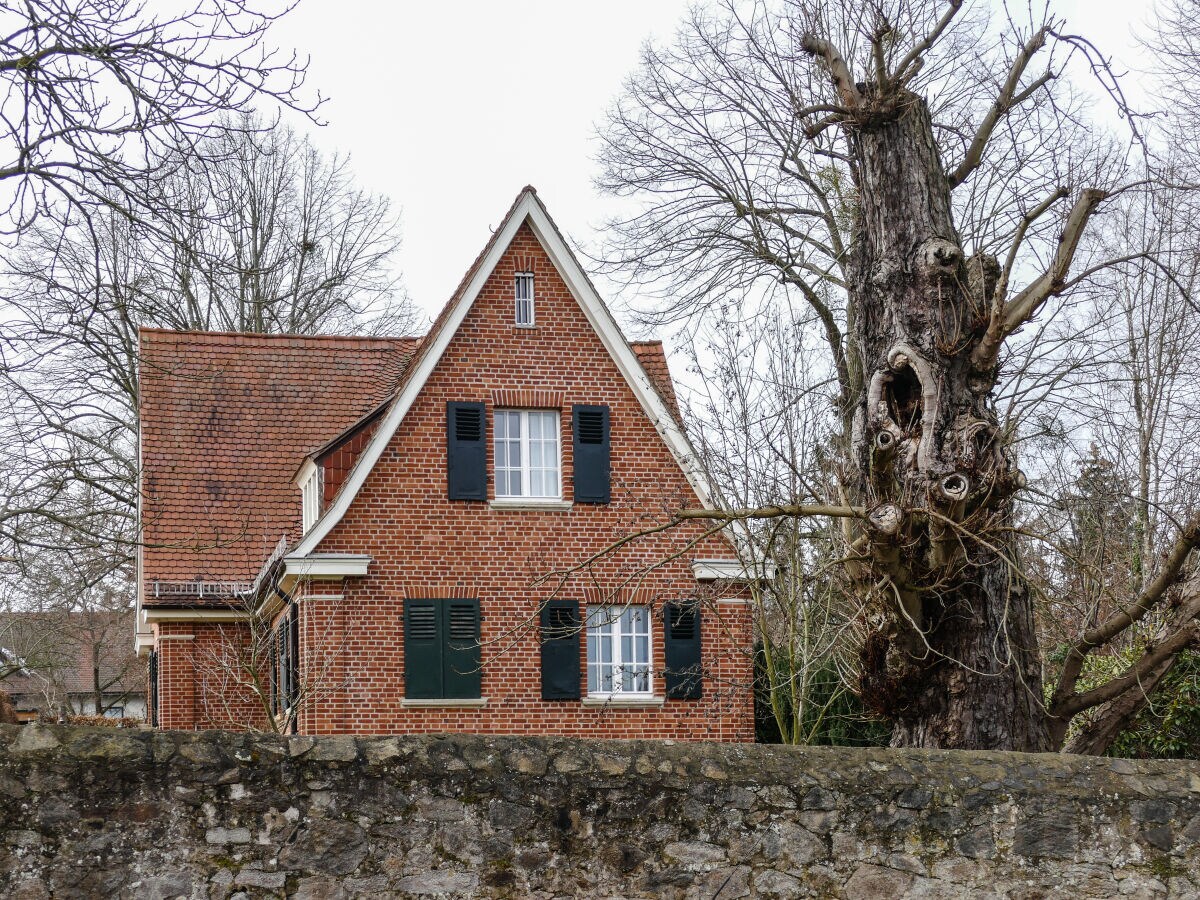 Holiday apartment Berthold - Outdoor photo 4