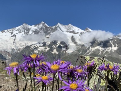 Holiday apartment No title - Environment photo 19