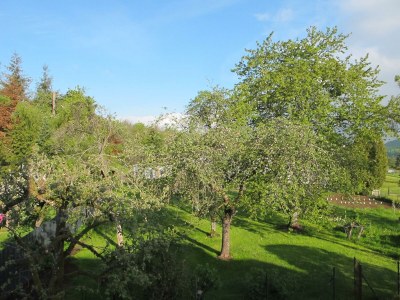 Apartment 2-Bett-Ferienhaus Quartier-Eifel bis 3 Personen - Outdoor photo 12