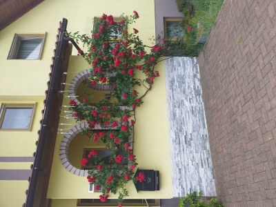 Apartment 4-Bettwohnung - Outdoor photo 8