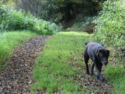 Holiday room Einzelzimmer - Outdoor photo 4