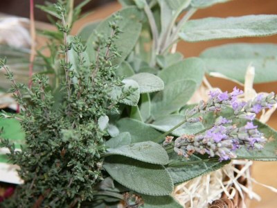 Holiday room Einzelzimmer - Outdoor photo 6