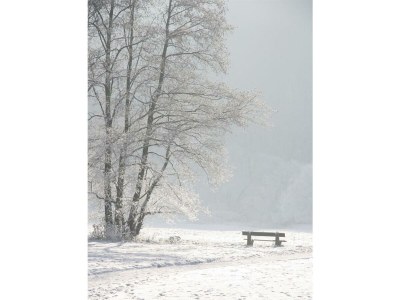 Holiday room Einzelzimmer - Outdoor photo 15