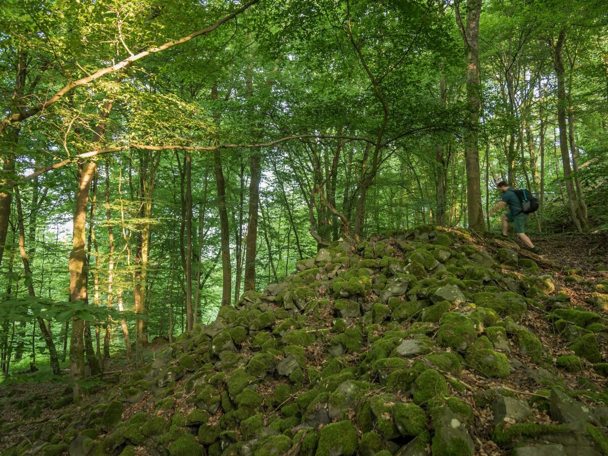 Holiday room Doppelzimmer - Outdoor photo 5