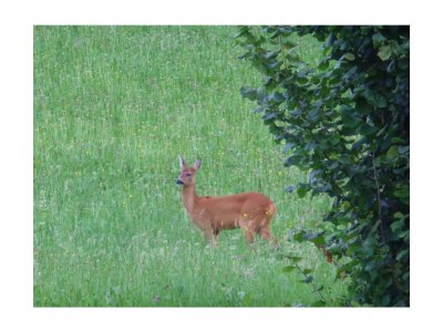 Apartment Appartement 2 - 6 Personen - Outdoor photo 13