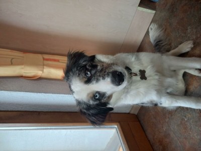 Apartment Appartement 2 - 6 Personen - Outdoor photo 27