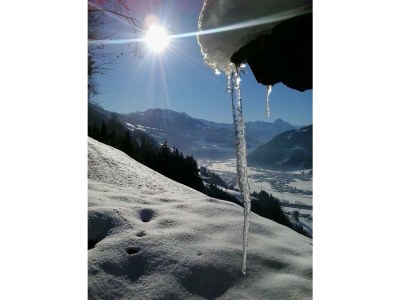 Apartment Appartement 2 - 6 Personen - Features photo 37