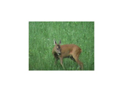 Apartment Appartement 2 - 6 Personen - Features photo 40