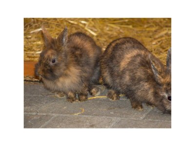 Apartment Leah - Outdoor photo 28