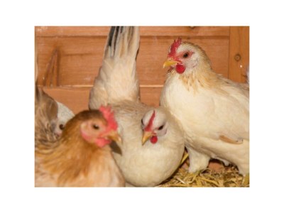 Apartment Leah - Outdoor photo 29