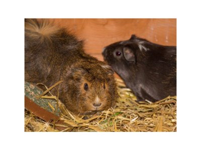 Apartment Leah - Outdoor photo 30