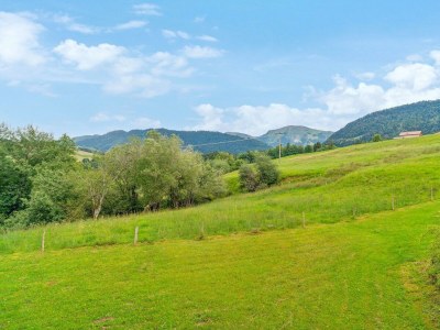 Apartment Fewo Roesle im Haus Steinrösle - Features photo 15