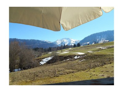 Apartment Fewo Roesle im Haus Steinrösle - Features photo 24