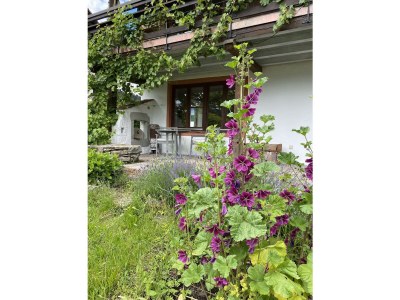 Holiday room Ferienwohnung im Atelierhaus - Outdoor photo 30