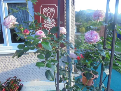 Apartment FeWo Rindalphorn - Outdoor photo 31