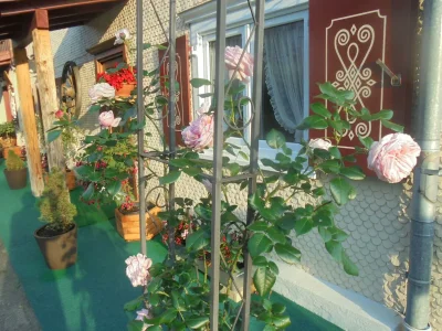 Apartment FeWo Rindalphorn - Outdoor photo 36