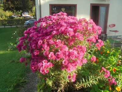 Apartment FeWo Rindalphorn - Outdoor photo 43