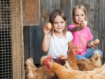 Apartment Sinswanger-Moos - Outdoor photo 6