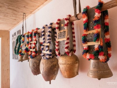 Apartment Sinswanger-Moos - Outdoor photo 23