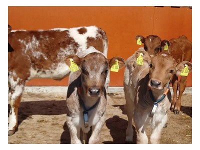 Apartment Sinswanger-Moos - Outdoor photo 29