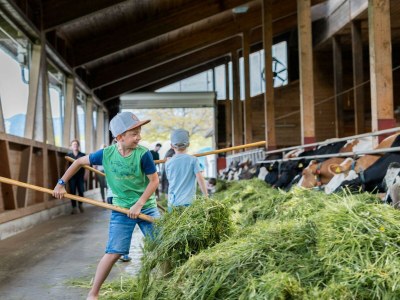 Apartment Sinswanger-Moos - Outdoor photo 41