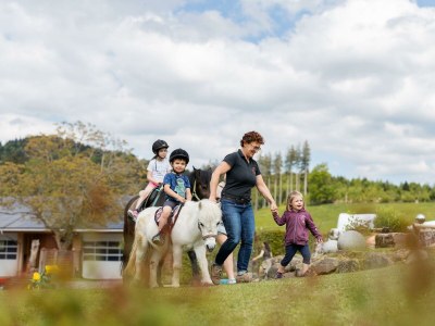 Apartment Sinswanger-Moos - Outdoor photo 42