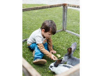 Apartment Sinswanger-Moos - Outdoor photo 43