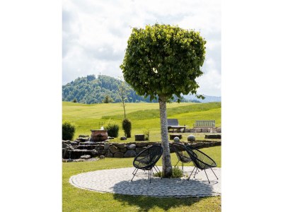 Apartment Sinswanger-Moos - Outdoor photo 52