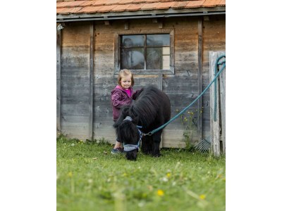 Apartment Sinswanger-Moos - Outdoor photo 59