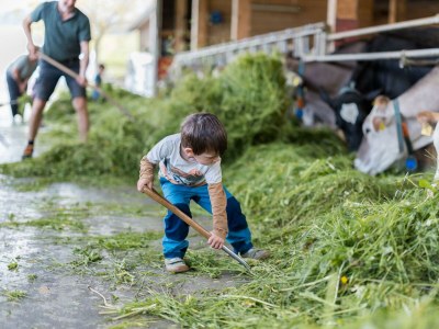 Apartment Sinswanger-Moos - Outdoor photo 64