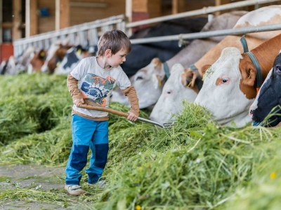 Apartment Sinswanger-Moos - Outdoor photo 67