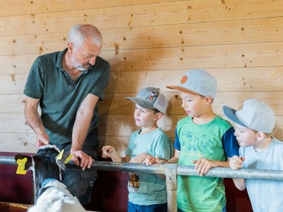 Apartment Sinswanger-Moos - Outdoor photo 68