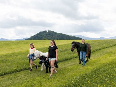 Apartment Sinswanger-Moos - Outdoor photo 77