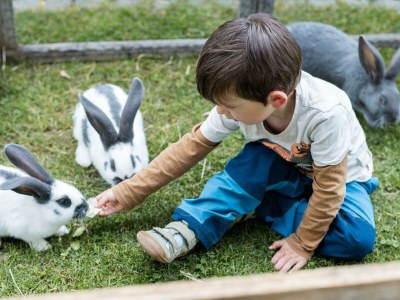 Apartment Sinswanger-Moos - Outdoor photo 84