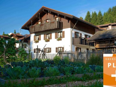 Apartment Ferienwohnung Kapf in Oberstaufen - Apartment