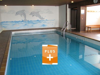 Apartment Alpenappartement Berger in Oberstaufen, Steibis - Apartment