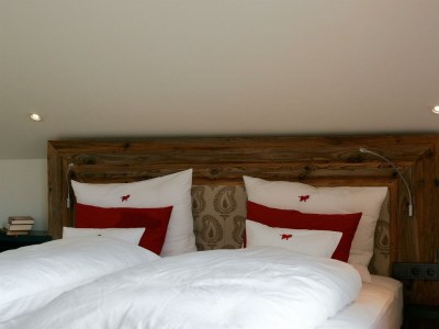 Apartment Alpenloft Chalet Rubin - Features photo 9