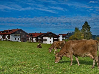 Apartment Haus Silberdistel Ferienwohnung - Outdoor photo 6
