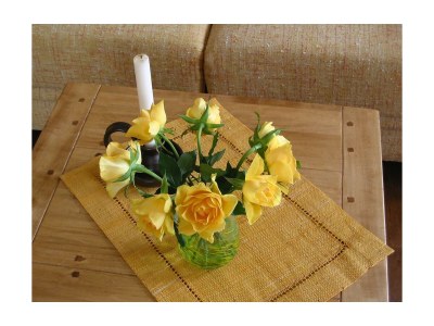 Apartment Haus Silberdistel Ferienwohnung - Outdoor photo 7