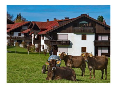 Apartment Haus Silberdistel Ferienwohnung - Outdoor photo 20