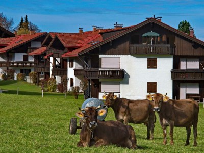 Apartment Haus Silberdistel Ferienwohnung - Features photo 36